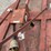 rhino-6'-3ph-rotary-cutter-image-5
