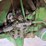 john-deere-4430-image-29