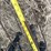 2000-sunflower-1433-32-image-21