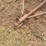 portable-livestock-loading-chute-image-3