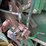 john-deere-435-image-14