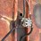 bush-hog-3214-image-15