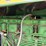 john-deere-4430-image-54