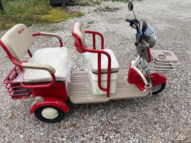 #44-•-irgc40-electric-tricycle-image-3