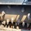 2021-bobcat-24pla-coldplaner-skid-steer-attachment-image-6