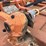 bush-hog-3214-image-19
