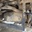 polaris-ranger-xp-image-16