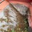 ez-trail-1074-image-45