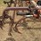 22’-graham-hoeme-chisel-image-18