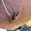 140-gallon-fuel-tank-image-3