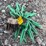 john-deere-8-image-4
