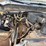 2012-ford-f250-xl-image-20
