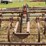 22’-graham-hoeme-chisel-image-24