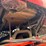 2003-case-ih-stx425-image-19