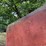 eddins-77350-image-33