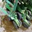 john-deere-530-image-39