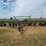 john-deere-1600-image-2