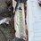 #5401-•-workhorse-40gal-poly-tank-image-7