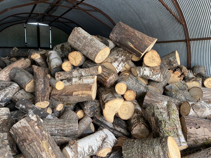 #3579-•-large-piles-of-mostly-dried-cut-firewood-image-4