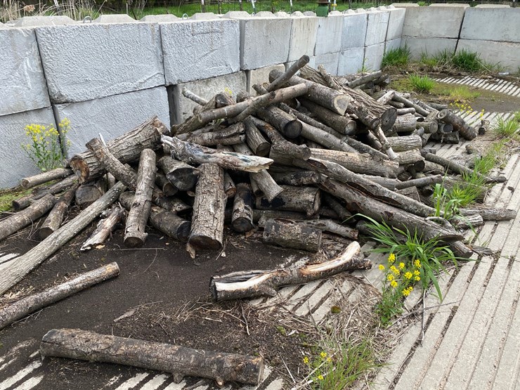 #3579-•-large-piles-of-mostly-dried-cut-firewood-image-8