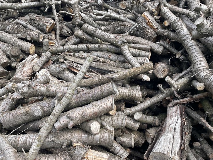 #5519-•-door-county-cherry-wood-image-3