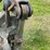 #120-•-tag-6’-log-grapple-forks-image-9