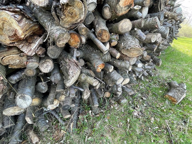#5504-•-door-county-cherry-wood-image-4