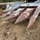 #3518-•-allis-chalmers-fl330-corn-head-image-15