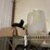 #3616-•-contents-of-room-image-9