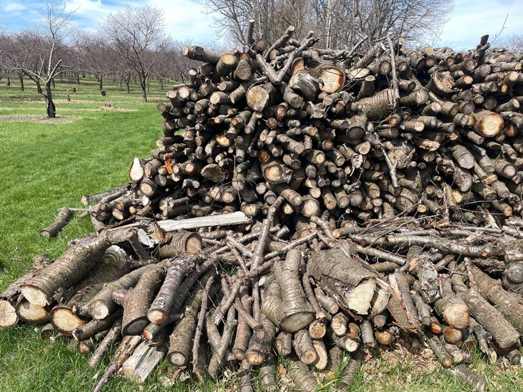 #5525-•-door-county-cherry-wood-image-4