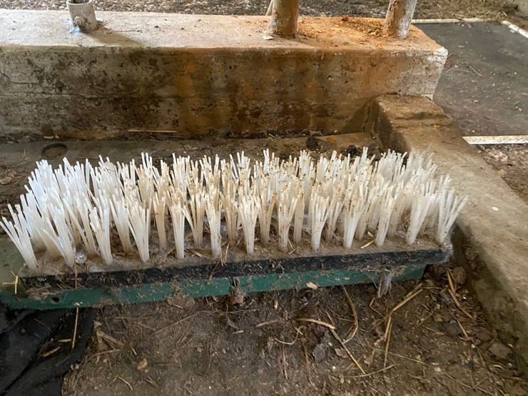 #3560-•-cattle-brush-groomer-image-2