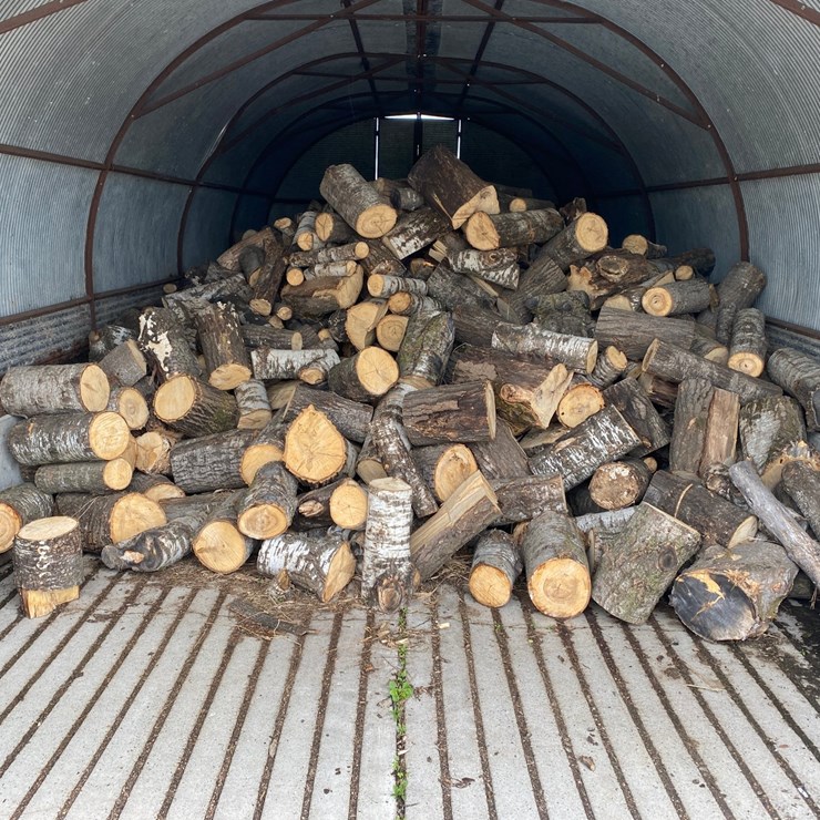 #3579 • Large Piles of Mostly Dried Cut Firewood