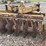 rome-16-disk-folding-harrow-image-6