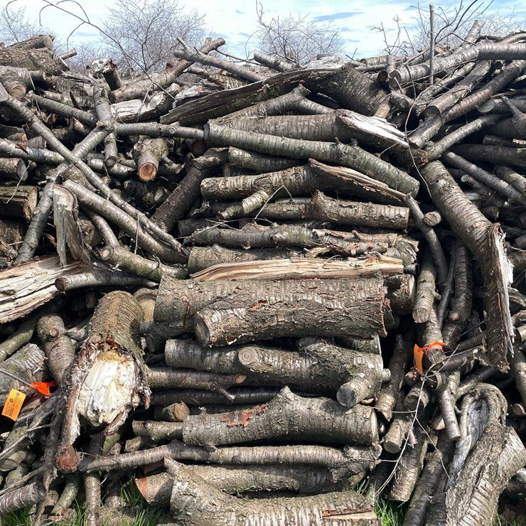 #5524 • Door County Cherry Wood