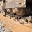 2001-caterpillar-d5m-xl-image-9