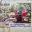 #6-•-towable-wood-chipper---wc-red-image-2