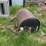 #3587-•-agri-fab-pull-behind-lawn-roller-image-2