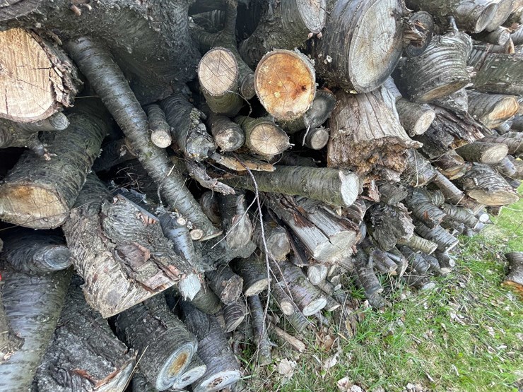 #5504-•-door-county-cherry-wood-image-2