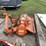 #4163-•-maschio-rotary-tiller-image-6