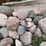 #6009-•-rock-pile-image-3