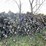 #5504-•-door-county-cherry-wood-image-1