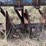 #5501-•-14'-disc-image-33