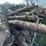 #5507-•-door-county-cherry-wood-image-4