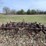 #5502-•-cultivator-image-6