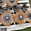 5-no-till-planter-coulters-image-3