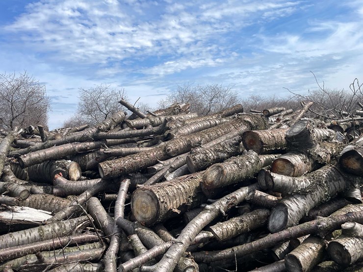 #5523-•-door-county-cherry-wood-image-4