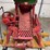 maple-leaf-jr.-grain-grinder-image-6