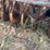 #5501-•-14'-disc-image-24