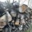 #5504-•-door-county-cherry-wood-image-3