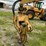1995-caterpillar-525-image-85
